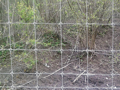 四川鹿網(wǎng)圍欄